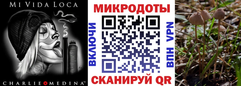 Галлюциногенные грибы Magic Shrooms  кракен tor  Дагестанские Огни  где найти наркотики 