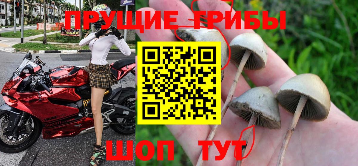 Псилоцибиновые грибы ЛСД  Вход с VPN  Дагестанские Огни 